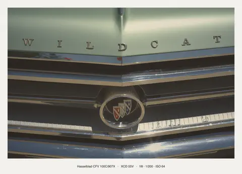 Wildcat script and the Buick tri-shield