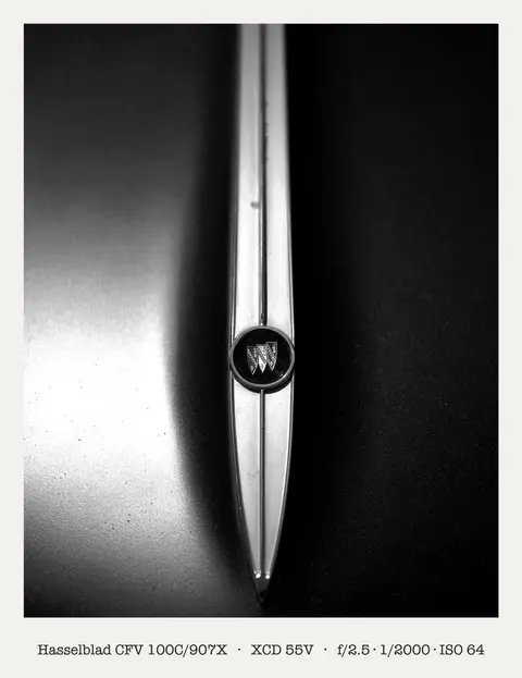 Buick tri-shield on the trim spear